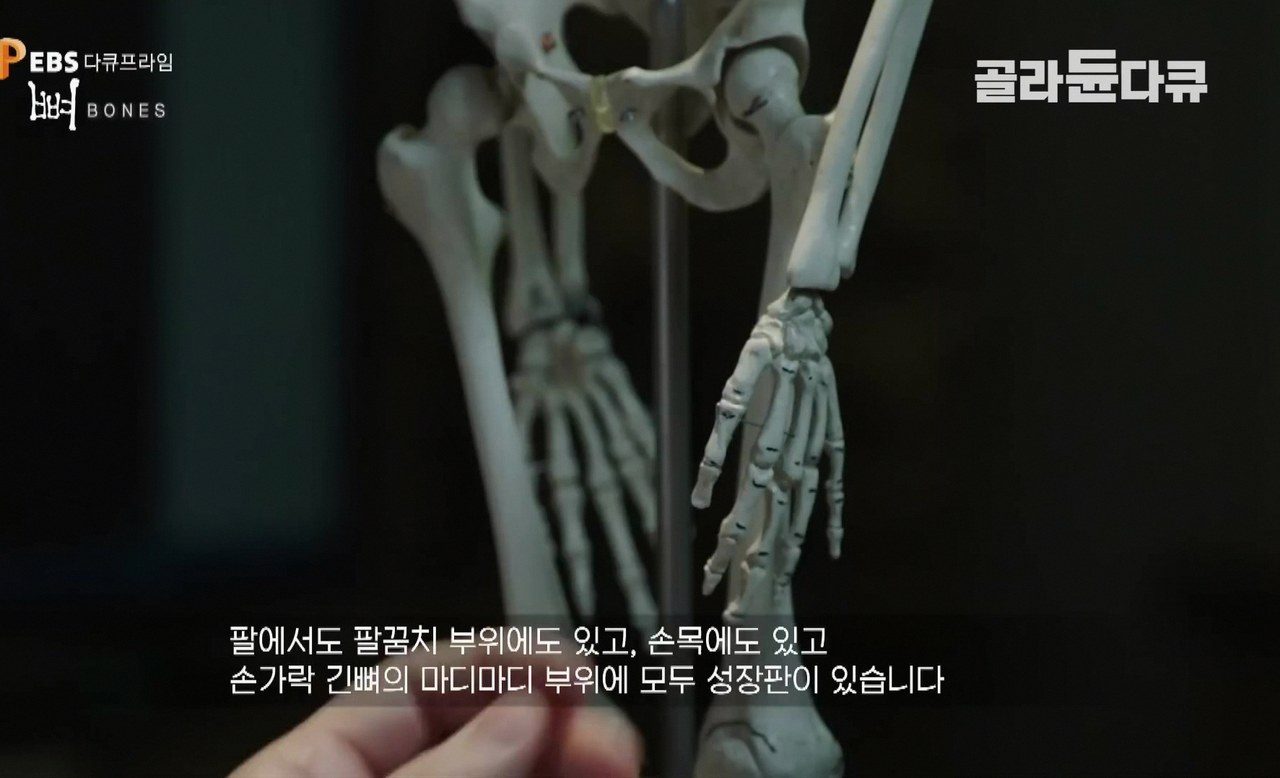 초2 남아 평균키 6